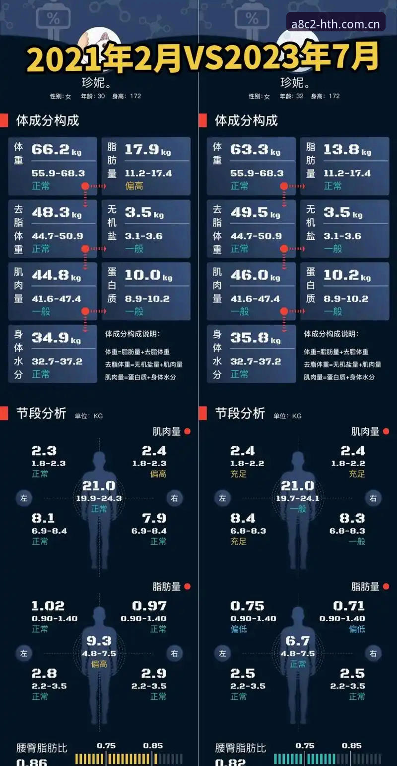 HTH实时赔率全面评测：A8C2核心科技如何重塑体育数据分析体验