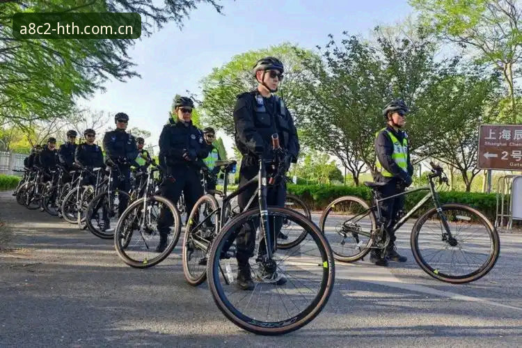 从赛事安保看跨国观赛：hth体育赛事安装失败后的深度观察指南